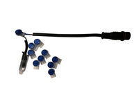 🔗 Mattos Designs™ Gel Filled Connectors 200 Pak – Reliable and Moisture-Resistant Connections 💧