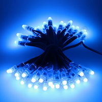 12V 12mm Regulated Pixels by Mattos Designs | High-Quality LED Pixels for Light Shows